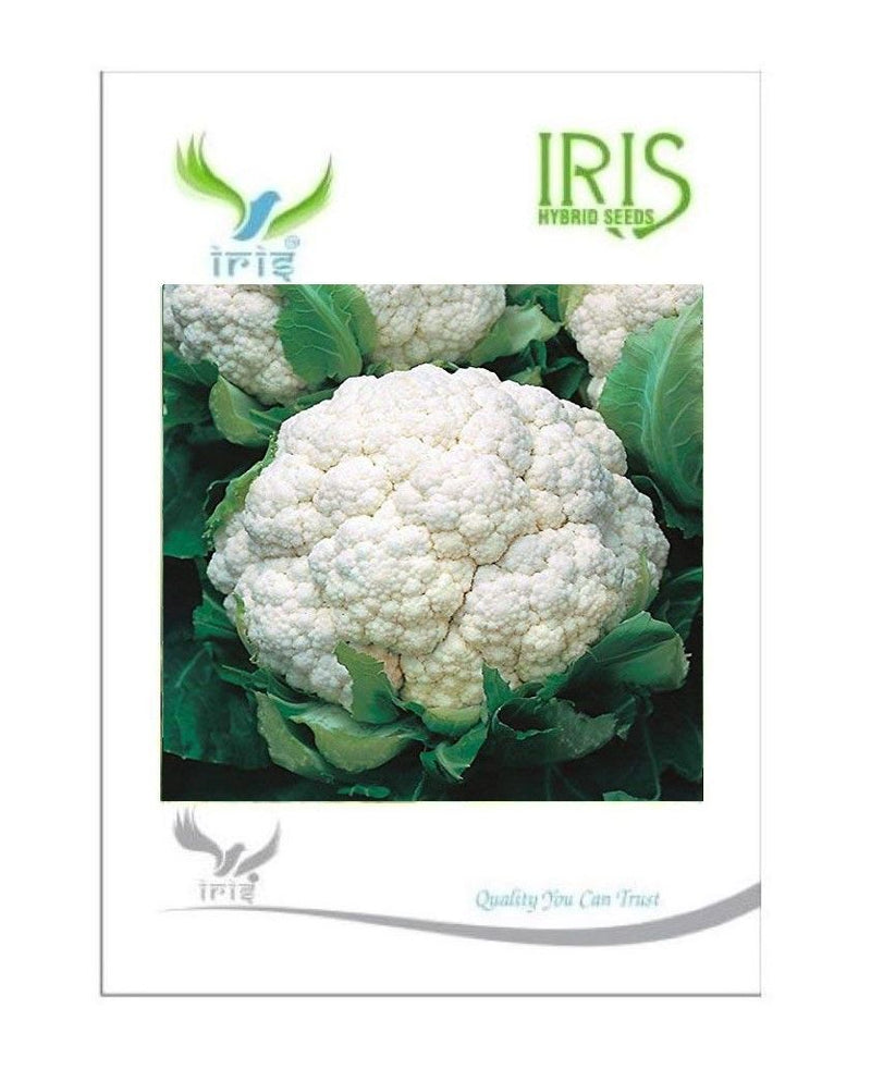 IRIS HYBRID VEGETABLE SEEDS CAULIFLOWER