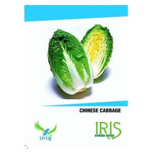 IRIS HYBRID VEGETABLE SEEDS CHINESE CABBAGE