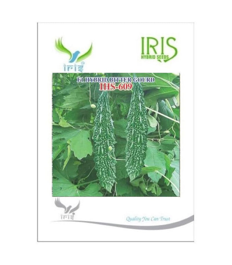 IRIS HYBRID VEGETABLE SEEDS F1 HYBRID BITTER GOURD IHS-609