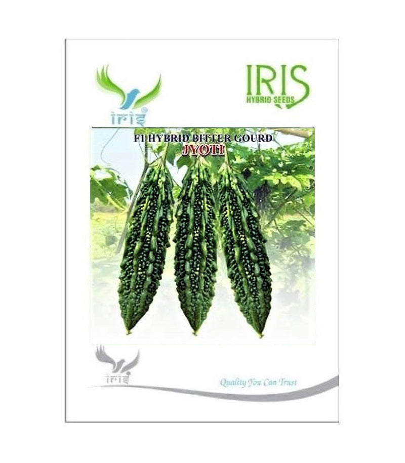 IRIS HYBRID JYOTI BITTER GOURD SEEDS