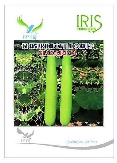 IRIS HYBRID VEGETABLE SEEDS F1 HYBRID BOTTLE GOURD HAZARI-04 (LONG)