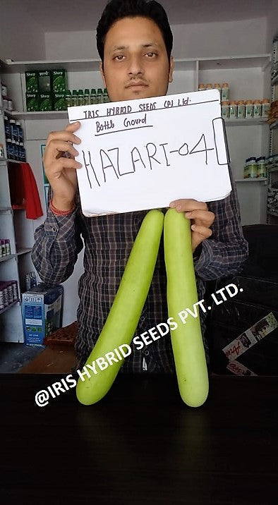 IRIS HYBRID VEGETABLE SEEDS F1 HYBRID BOTTLE GOURD HAZARI-04 (LONG)