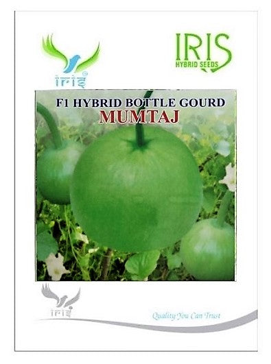 IRIS HYBRID VEGETABLE SEEDS F1 HYBRID BOTTLE GOURD MUMTAJ (ROUND)