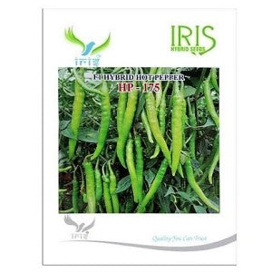 IRIS HYBRID VEGETABLE SEEDS HOT PEPPER (CHILLI) HP-175