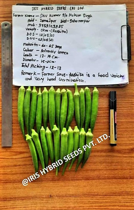 IRIS HYBRID VEGETABLE SEEDS OKRA(BHINDI) RASIKA