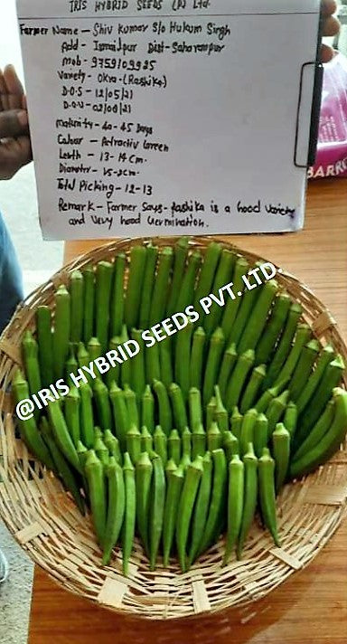 IRIS HYBRID VEGETABLE SEEDS OKRA(BHINDI) RASIKA