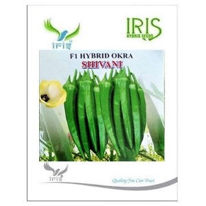 IRIS HYBRID VEGETABLE SEEDS F1 HYBRID OKRA(BHINDI) SHIVANI