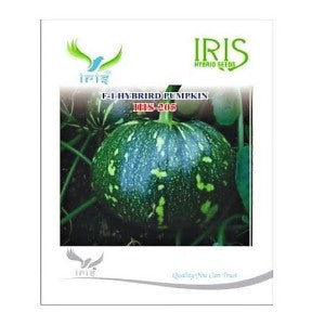 IRIS HYBRID VEGETABLE SEEDS F1 HYBRID PUMPKIN IHS-205