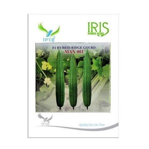 IRIS HYBRID VEGETABLE SEEDS F1 HYBRID RIDGE GOURD MAX001