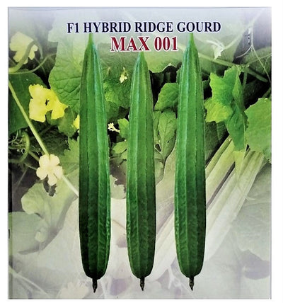 IRIS HYBRID VEGETABLE SEEDS F1 HYBRID RIDGE GOURD MAX001