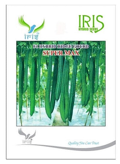 IRIS SUPER MAX RIDGE GOURD SEEDS