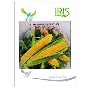 IRIS HYBRID VEGETABLE SEEDS F1 HYBRID SWEET CORN HONEYMAX