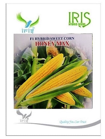 IRIS HYBRID VEGETABLE SEEDS F1 HYBRID SWEET CORN HONEYMAX