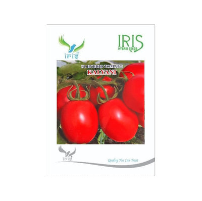 IRIS HYBRID VEGETABLE SEEDS F1 HYBRID TOMATO KALYANI