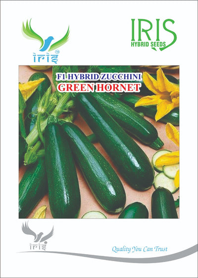 IRIS HYBRID VEGETABLE SEEDS F1 HYBRID ZUCCHINI GREEN HORNET