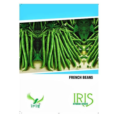 IRIS HYBRID OP VEGETABLE SEEDS FRENCH BEANS