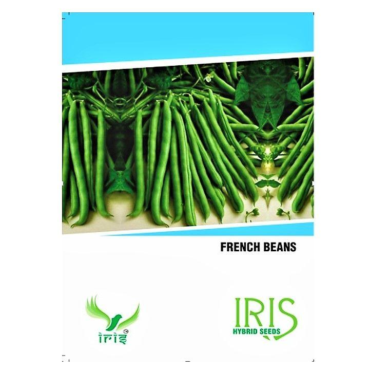 IRIS HYBRID OP VEGETABLE SEEDS FRENCH BEANS