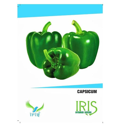 VEGETABLE SEEDS GREEN CAPSICUM