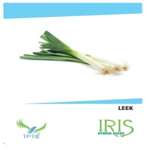 IRIS HYBRID VEGETABLE SEEDS LEEK