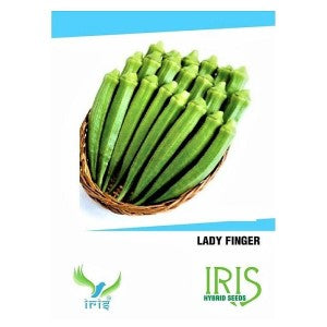 IRIS HYBRID OKRA SEEDS