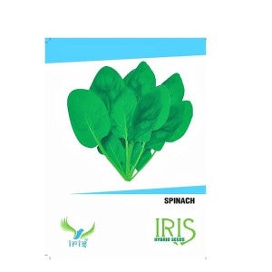 IRIS HYBRID SPINACH SEEDS PALAK