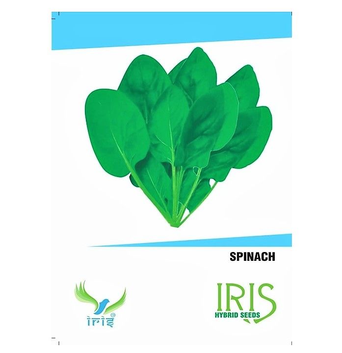 IRIS HYBRID SPINACH SEEDS PALAK