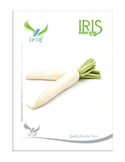 IRIS HYBRID OP VEGETABLE SEEDS RADISH