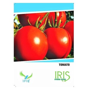 IRIS HYBRID VEGETABLE SEEDS TOMATO