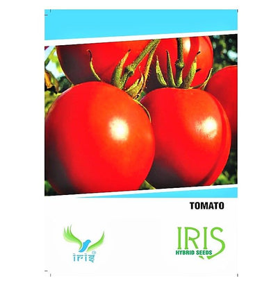 IRIS HYBRID VEGETABLE SEEDS TOMATO