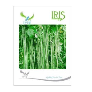 IRIS HYBRID VEGETABLE SEEDS YARDLONG BEANS