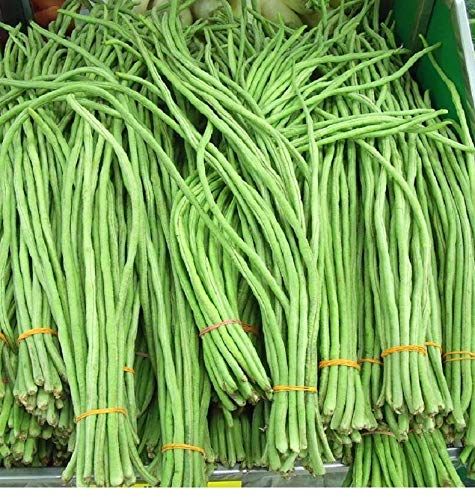 IRIS HYBRID VEGETABLE SEEDS YARDLONG BEANS