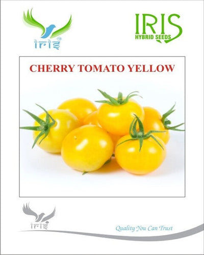 IRIS IMPORTED CHERRY TOMATO YELLOW