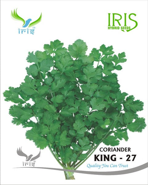 Iris Imported OP Coriander King 27 Split