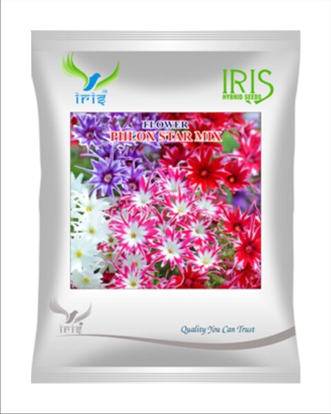 Iris Imported OP Phlox Star mix