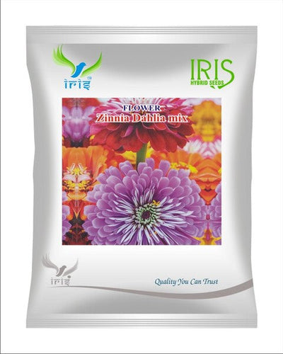 Iris Imported OP Zinnia Dahlia Mix