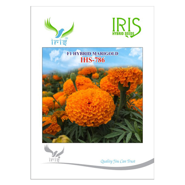 FLOWER SEEDS F1 HYBRID MARIGOLD ORANGE IHS-786