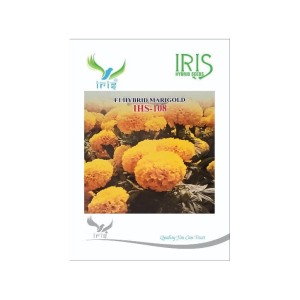 IRIS HYBRID FLOWER SEEDS F1 HYBRID MARIGOLD YELLOW IHS-108