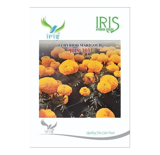 IRIS HYBRID FLOWER SEEDS F1 HYBRID MARIGOLD YELLOW IHS-303