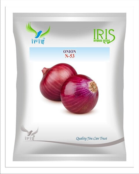 Iris OP ONION N-53