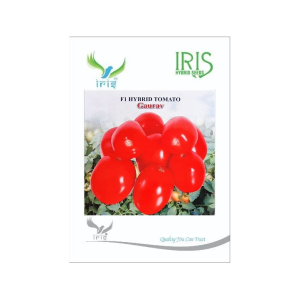 IRIS HYBRID VEGETABLE SEEDS F1 HYBRID TOMATO GAURAV