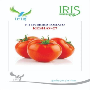 IRIS HYBRID VEGETABLE SEEDS F1 HYBRID TOMATO KESHAV 27