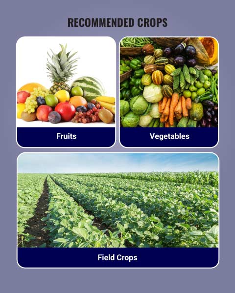 Isabion Biostimulant