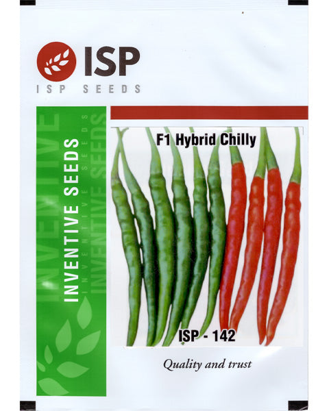 ISP142 HYBRID CHILLI