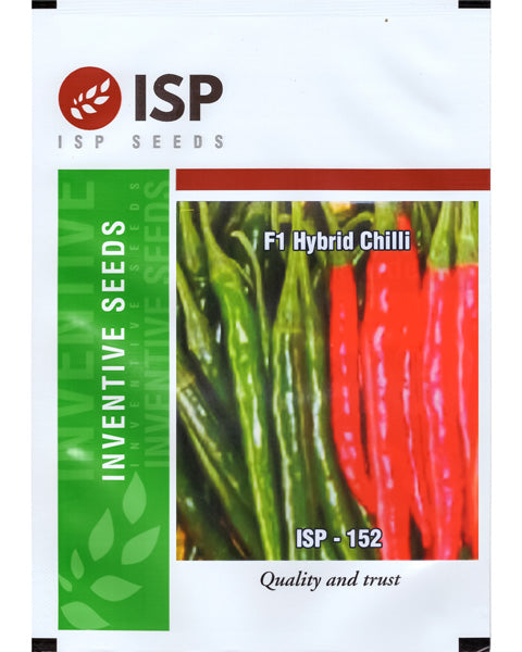 ISP152 HYBRID CHILLI