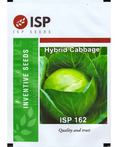 ISP162 CABBAGE