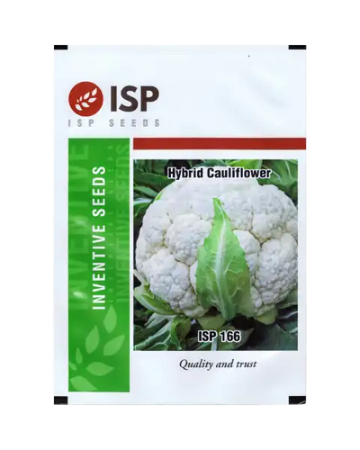 ISP166 CAULIFLOWER