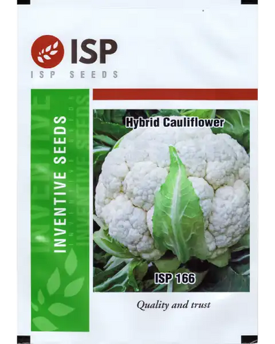 ISP166 CAULIFLOWER