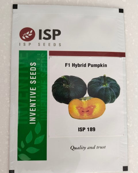 ISP189 PUMPKIN SMALL - DARK GREEN