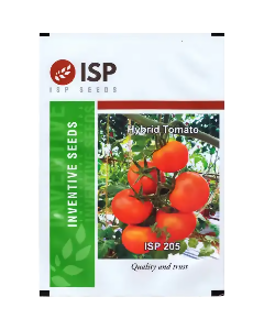 ISP205 Tomato