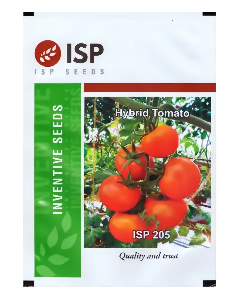 ISP205 Tomato